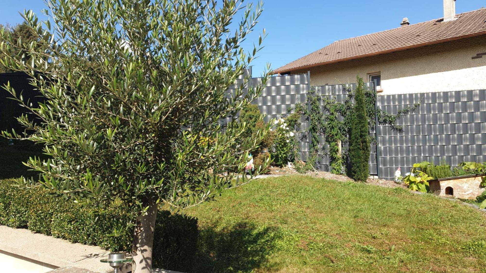 Le Gite Du Fort Bitche Exteriör bild